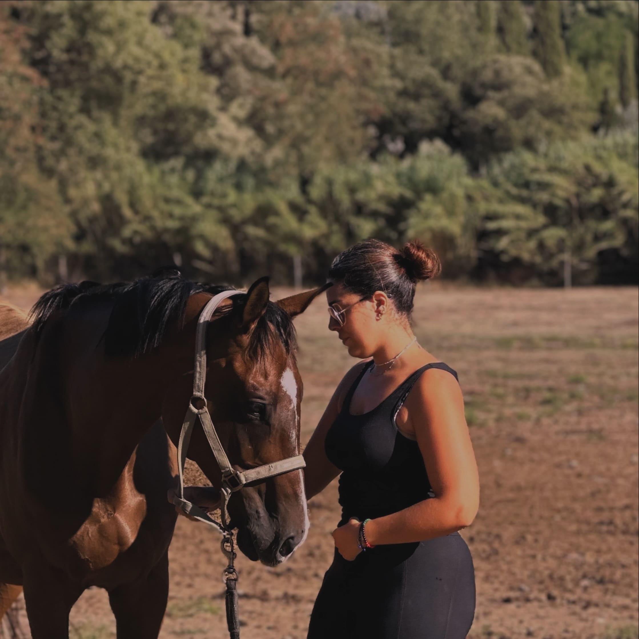 Roxane Landier en consultation saddle fitting
